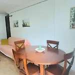 Surf Wifi 2 * 파마라