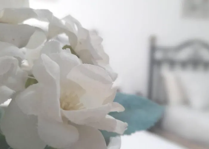 Surf Wifi 2 فامارا